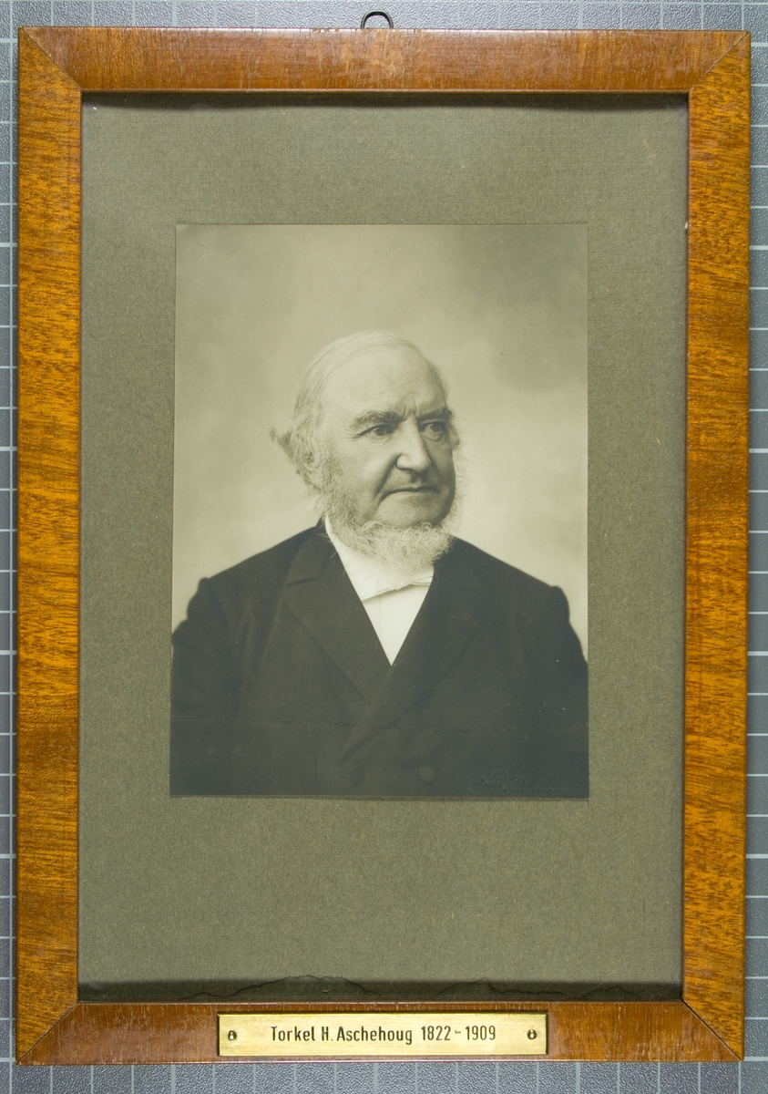 Portrett av jurist, sosialøkonom og historiker Torkel H. Aschehoug
