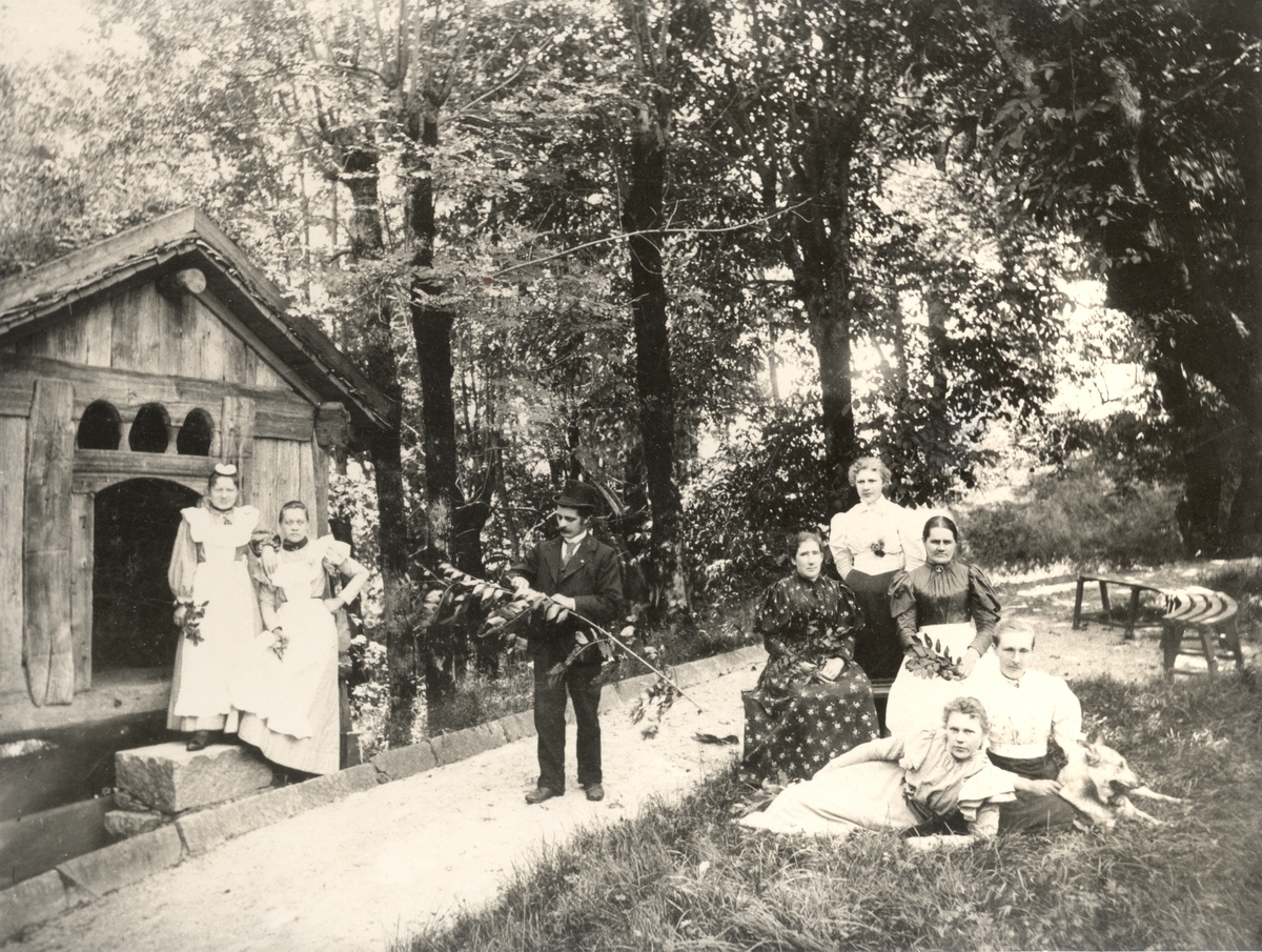 Tjenestefolk og gartner ved Ulefos Hovedgaard poserer i parken foran stabur

Fra venstre:

Lina Hansen (1874 - ), Anne Traaen (1875 - 1952), gartner Carl Frans Christensen/Stenhaug (1860 - ), Caroline Roberg (1864 - ), Inger Hansen (12.05.1855 - ), Martha Mathisen (Skien, besøøkende), Christine Pettersen (1869 - ), Anna Mahisen (Skien, besøkende)