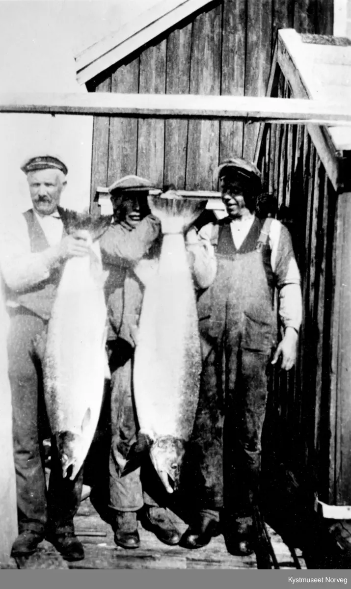 Foran fra venstre: Harald P. Valø, Asbjørn Valø og Gerhard Valø med fiskefangsten på Valøya