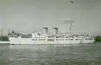 Passagerarångfartyget BORE III av Åbo utanför Skeppsholmen, Stockholm 1954.