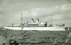 Foto i september 1953, fartyget på Trälhavet.