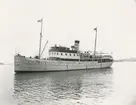 Foto från Köpenhamns juli månad, 1954.