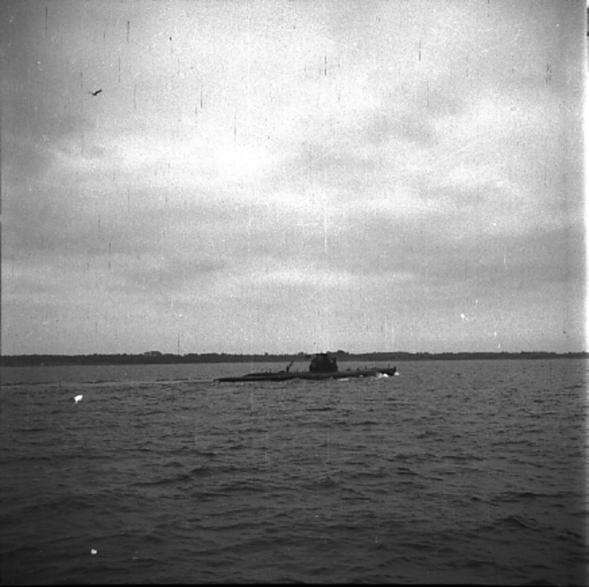 SJÖBORREN (1941)