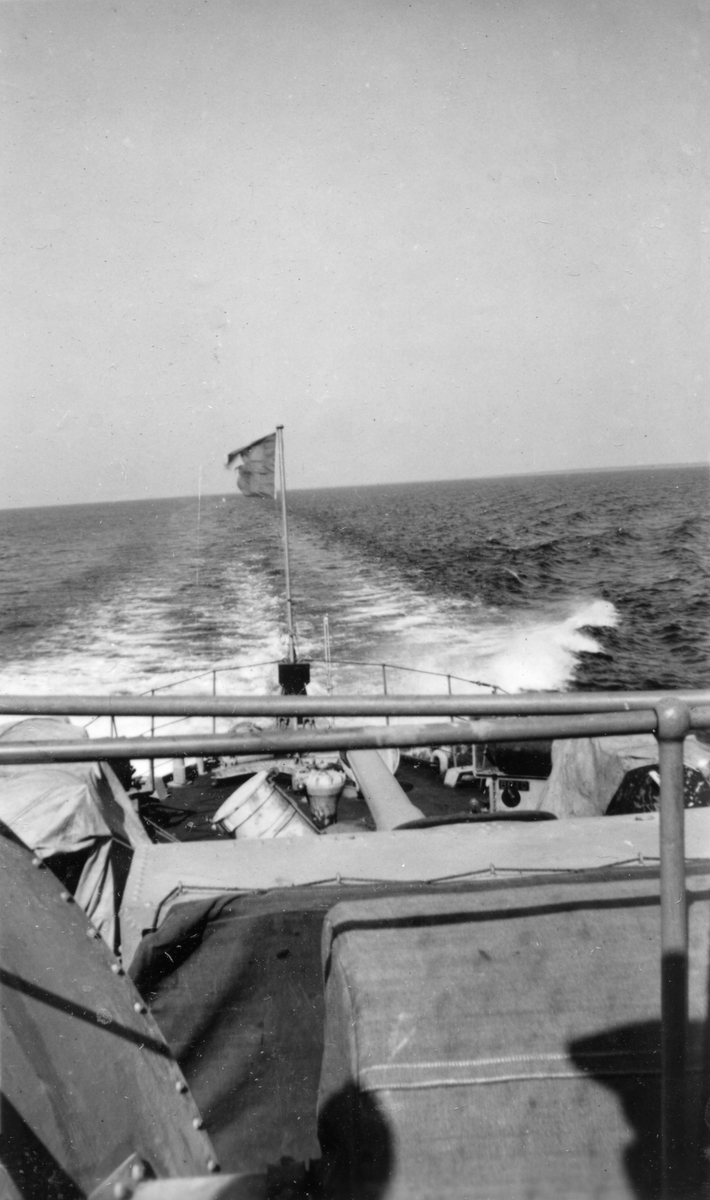 MM01354