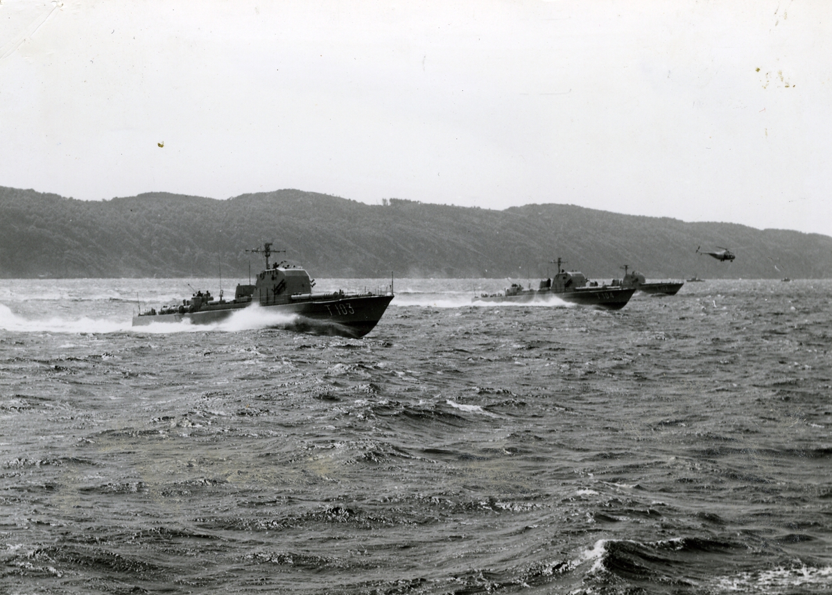 Motortorpedbåtar i juli 1955.
Närmast T 103 - Polaris och T 104 - Pollux.