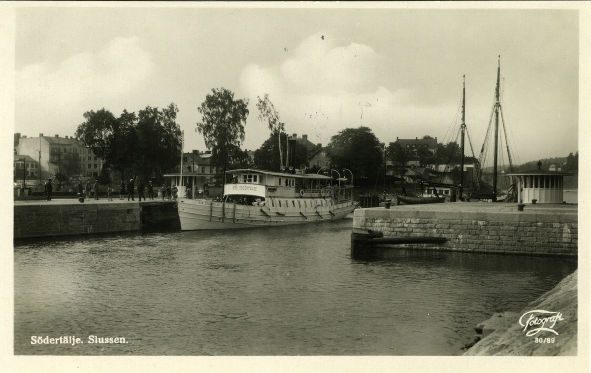 Fo216325