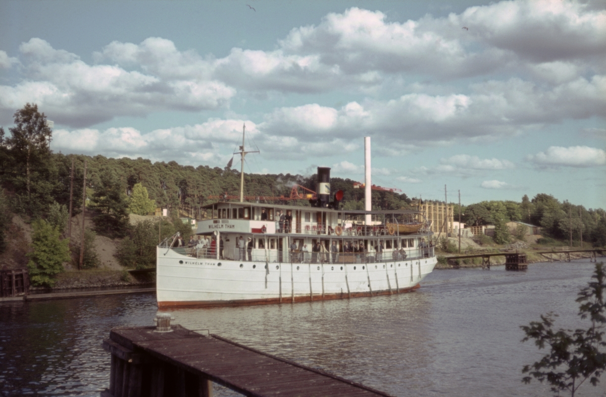 SS WILHELM THAM