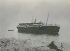 Foto visande passagerarångfartyget Piteå av Haparanda.
På resa från Norrlands-hamnar till Stockholm med last av renhudar, renstekar och diverse.
Strandade 13/6 1902 vid Högbonden norr om Härnösand å sydöstra sidan av önö
Vattenfylld i alla rum och maskinrum.
Bärgades 18/6 1902 av Neptun och Mercur.