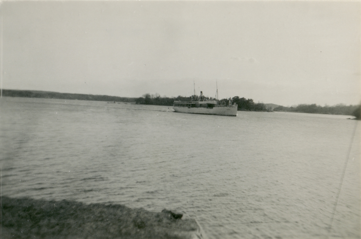 Ångfartyget J.L. RUNEBERG i Tenösund.