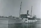 S/S BELLEVUE (ex OSLO) på ingående till Helsingborg den 14/7 1955.