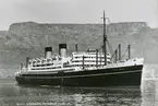 Q.S.M.V. 'DOMINION MONARCH' 26,500 tons