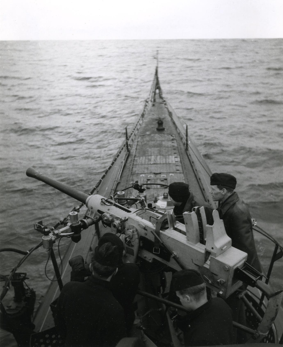 Artilleriövning ombord på ubåten SJÖHÄSTEN år 1949.