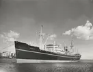M/S TORRENS. Foto taget den 3.5.1960.