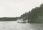 S/S Najaden vid Vadviken den 21.7.1927.