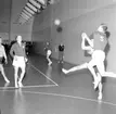 Handbollsmatch