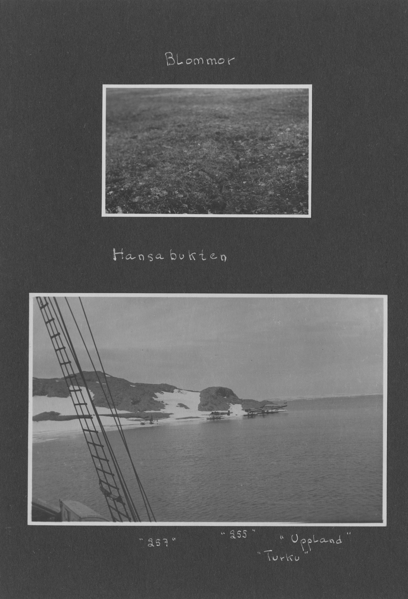 Svenska Spetsbergsexpeditionen 1928, band 3.    Band 3 av 5 dokumentationsalbum från svenska Spetsbergsexpeditionen år 1928, där Umberto Nobile och besättningen på luftskeppet Italia räddades.  48 fotografier monterade på 26 albumblad.    Motiv: I lägret i Kings Bay, hemresa via Narvik.  Personer, fartyg, natur, omgivningar, mm.