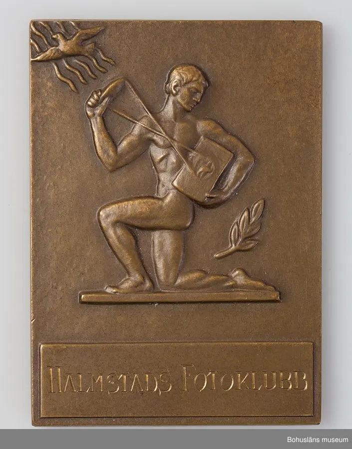 24 st medaljer/plaketter för pris i olika fototävlingar till Bo Seinknecht;  Mästartävlan, Riksfototävlingen, Uddevalla Fotoklubb, Västsvenska  mellan åren 1941 och 1959 .
