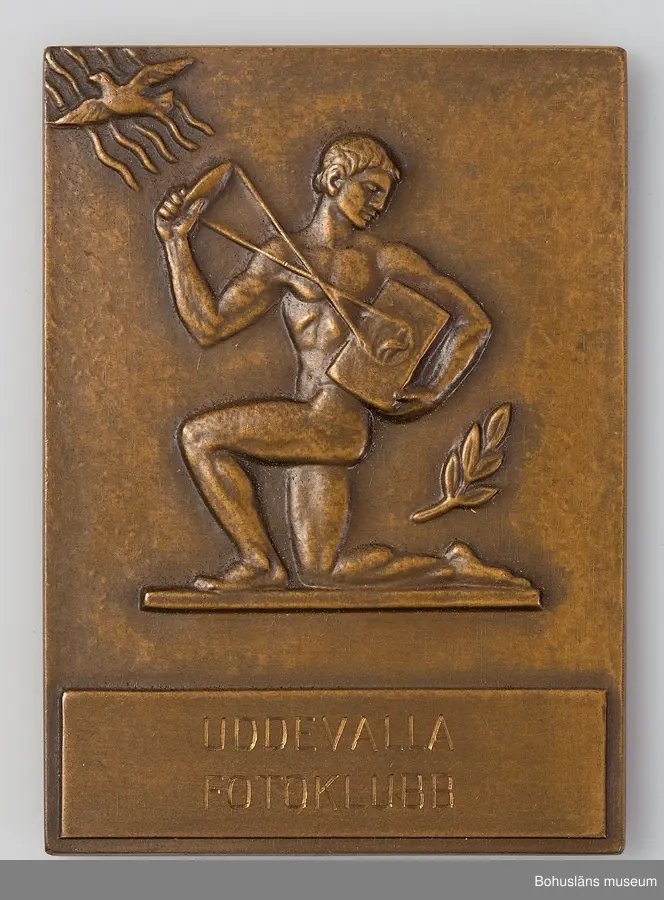 24 st medaljer/plaketter för pris i olika fototävlingar till Bo Seinknecht;  Mästartävlan, Riksfototävlingen, Uddevalla Fotoklubb, Västsvenska  mellan åren 1941 och 1959 .