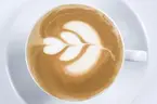 Latteart av Kaveh Azizian (Barista Akademien)