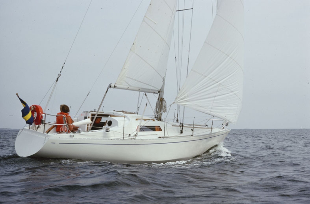 Scampi 30