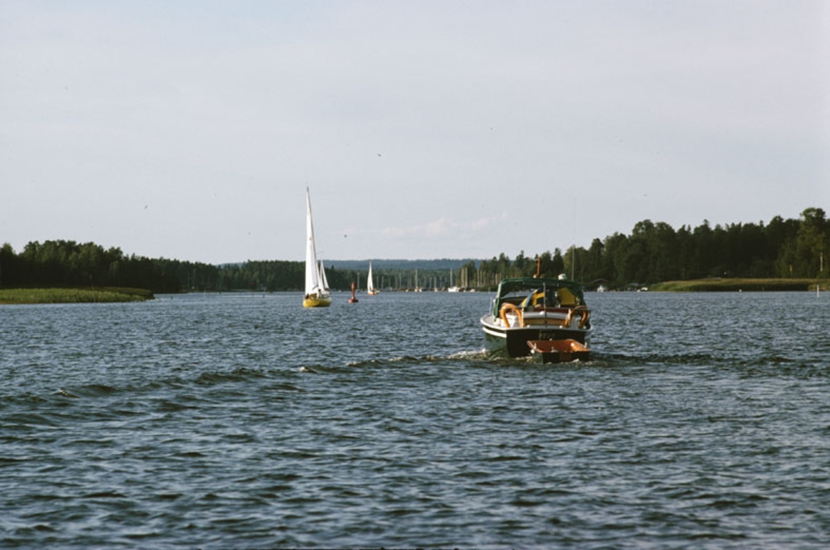 Albin 25
