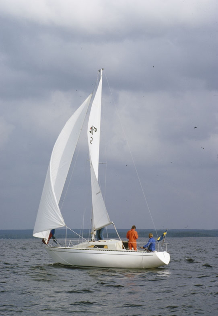 Albin 79