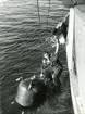 Hemtagning av mina. Felförankrat minaggregat på Älvsnabben, juni 1944.