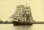Foto i svartvitt visande briggen Gerda av Pataholm, med trälast utanför Troense, sommaren 1928. Gåva: Andersson J. Ring, Svendborg, 1940