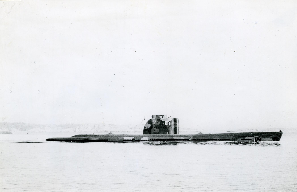 Ubåten Sjölejonet juni 1953.