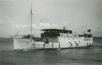 M/S ALBREKTSUND vid Lyskil 30/7 1953