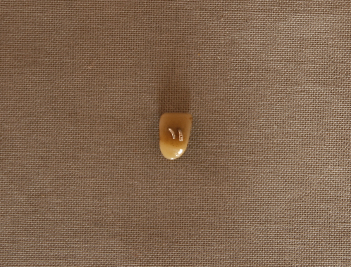 Kiste som inneholder flere smårom.