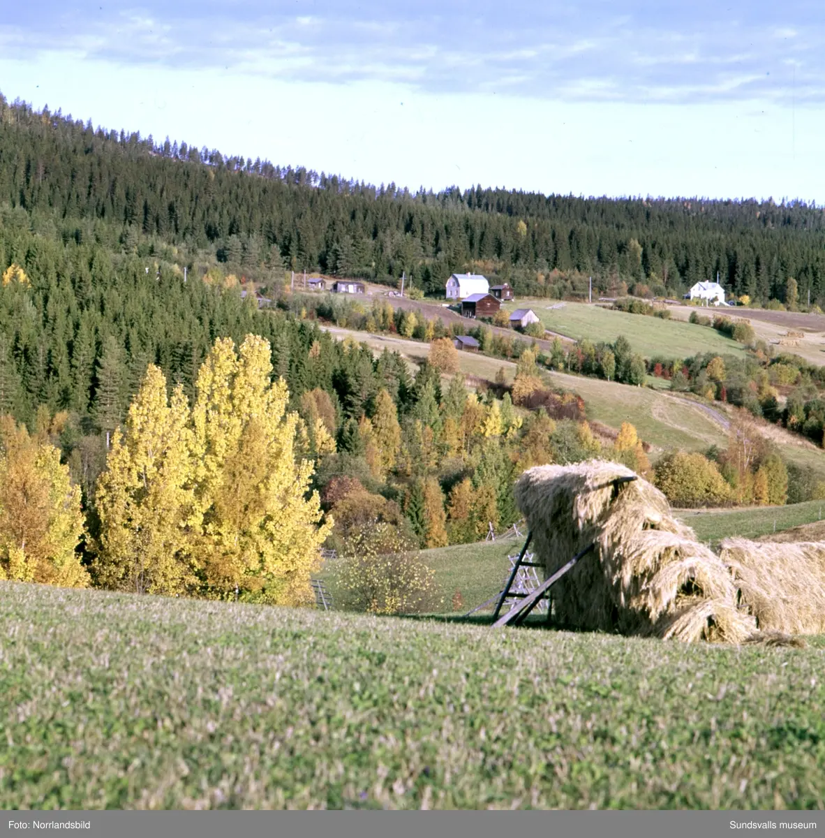 Vyer över landskapet invid Indalsälven med bland annat tjänstebostäderna vid Järkvissle kraftverk.