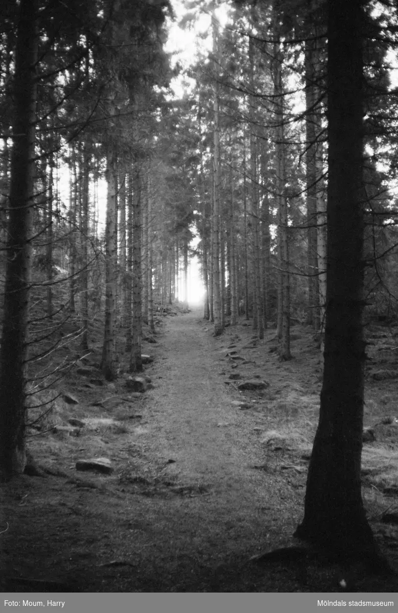 Vandringsled i Bunketorp, Lindome, år 1983.

För mer information om bilden se under tilläggsinformation.