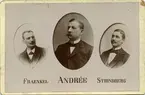 Expeditionen 1897: Fraenkel, Andrée och Strindberg.