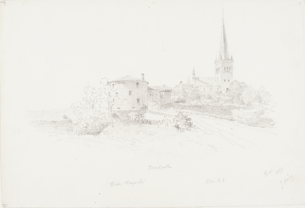 Motiv från Reval.
"Tjocka Margareta". 
Strandporten.
Olai kyrka.