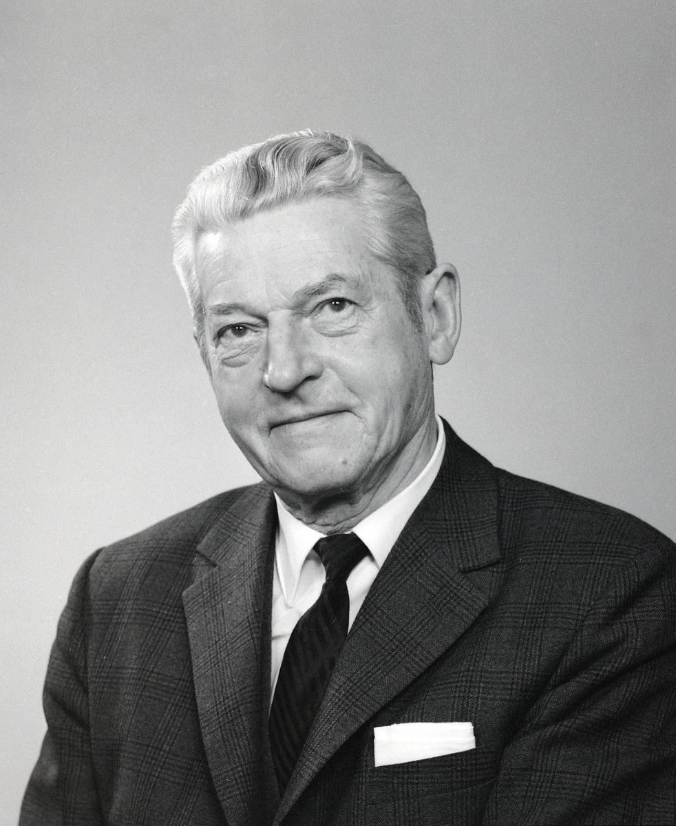 Portrett, Rolf Prag.