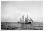 'Akka-expeditionen sommaren 1931: ::  :: Vy med segelbåt i Kattegatt. ::  :: Ingår i serie med fotonr. 2182-2234.'