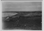 'Biologiska föreningens utfärd till Läsö och Nordre Rönner: ::  :: Rev med stenblock och blommande strand, vy ut mot havet. ::  :: Se fotonr. 2674-2734, 2687-2691, 2692-2711, 2714-2734, 2843-2863 och 2975 från samma utfärd.'