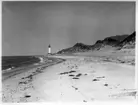 'Kattegattexpeditionen 1933: ::  :: Vy med stranden fram till Anholts fyr. ::  :: Ingår i serie med fotonr. 2804-2826.'