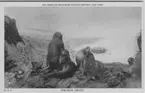 'Pälssälar i grupp på stenblock. Text på baksidan: ''Fur seal group from Kitovi rookery, St.Paul Island, Bering Sea. The Alaska fur seal belongs to the group that has an under coat of soft fur that makes its skin valuable for garments.'' ::  :: Ingår i serie med fotonr. 2941-2954. Se även serie med fotonr. 2930-2940.'