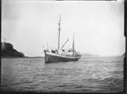 'M/Y ''Gunnerus'', Trondheims Biologiska stationsfartyg, på väg. :: Text till bilden i tidningsartikel ''Blad ur min loggbok'', av Leonard Axel Jägerskiöld: ''Deplacement ca 90 ton. Längd överallt nära 23 meter. Fart dryga 7 knop. Hon är försedd med en sump eller brunn om 7 kubikmeter för levande fisk.'' ::  :: Se även fotonr. 3380.'
