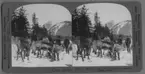 'Renar står i grupp och cirka 10 män i bakgrunden. :: ''9272 - Dr. Sheldon   Jackson and government reindeer, Hainees, Alaska.''Dir Shelden Jackson and reindeer for Alaska. ::  :: Ingår i serie med fotonr. 315-422.'