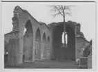 'Biologiska föreningens utfärd till Tåkern, Vadstena m.fl. platser: ::  :: Alvastra klosterruin, del av. Ett yngre lövträd växer inuti ruinen. ::  :: Se fotonr. 3588-3634 samt 3661-3677.'