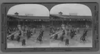 'Arena med tio ryttare, med huvudbonader av fjädrar, som jagar tre bufflar. ::  :: ''14189 - Indian Buffalo hunt in the Wild-vest show - Jamestown Exposition. ::  :: Ingår i serie med fotonr. 315-422.'