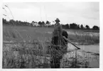 'Biologiska föreningens utfärd till Tåkern, Vadstena m.fl. platser: ::  :: ''Vägvisaren'' Folke Persson, ca 3 män i en eka i vassvegetation. Vy över vassbevuxen sjö. ::  :: Se fotonr. 3588-3634 samt 3661-3677.'