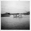 'Från Göteborgs Biologiska förenings expedition med ''Skagerak'': ::  :: Hirtshals hamn. ::  :: Ingår i serie med fotonr. 3934-3953 med foton från Göteborgs Biologiska förenings expeditioner.'