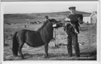 'Från ''Skageraks''-expeditionen till Hebriderna och Shetland: ::  :: Man stående vid Shetlandsponny med Shetlandsponnieföl i famnen  och en pojke bakom hästen. Hus i bakgrunden. Bildtext: Shetland Ponies ::  :: Ingår i serie med fotonr. 4113:1-82.'