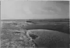 'Bilder från Hornborgasjön från: R. Söderberg: '' Hornborgasjön och dess fornsjöområde'' Del I 1932. ::  :: Muddringskanal i den sänkta Hornborgasjön, i rännan syns torr dy och på sidorna bleke. Sjösänkning. ::  :: Ingår i serie med fotonr. 4245:1-35.'