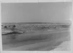 'Bilder från Hornborgasjön från: R. Söderberg: '' Hornborgasjön och dess fornsjöområde'' Del I 1932. ::  :: Torrlagd botten med suboreala stubbar. Sjösänkning. ::  :: Ingår i serie med fotonr. 4245:1-35.'