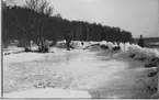 'Bilder från Hornborgasjön från: R. Söderberg: '' Hornborgasjön och dess fornsjöområde'' Del I 1932. ::  :: 2 män stående på varsin sida av en strandvall som uppkommit genom isskjutning. Innan för vallen är en del av en lagun synlig. Sjösänkning. ::  :: Ingår i serie med fotonr. 4245:1-35.'